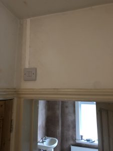 IMG_3005